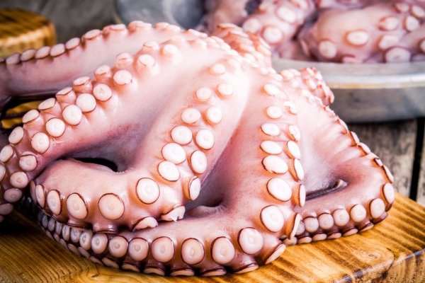 PULPO GALLEGO