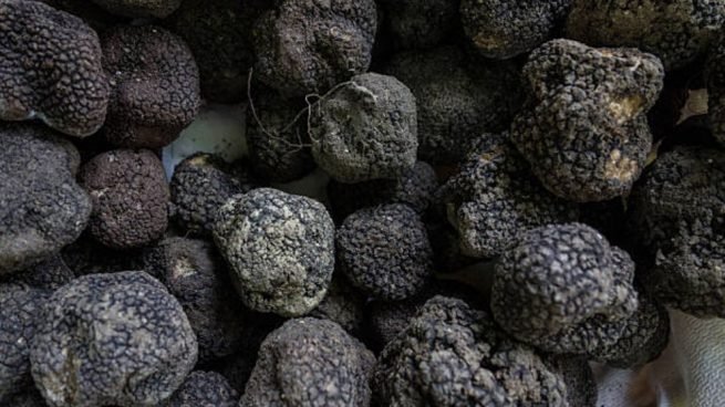 Trufa Invierno Picada