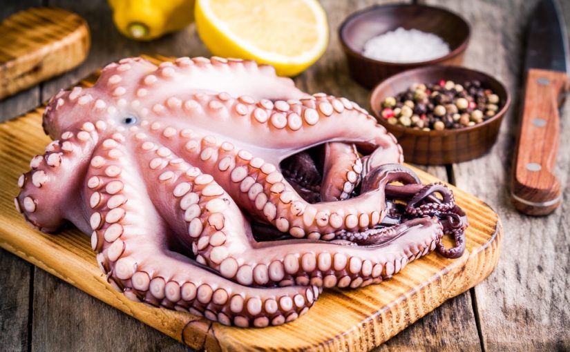 Pulpo Gallego sin Cocer de 2 a 4 libras