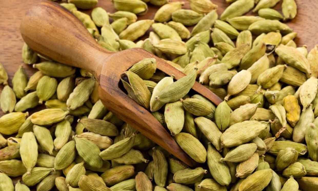 Cardamomo