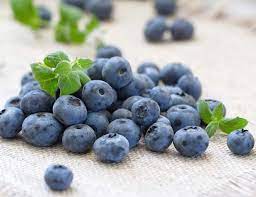 Arandano Azul Liofilizado