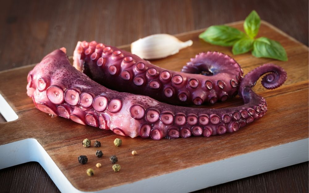 Tentaculo Pulpo Cocido