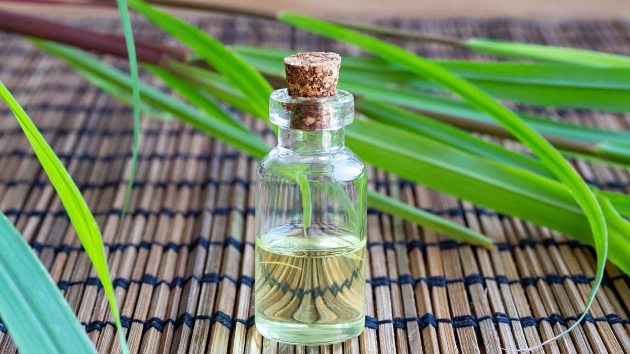 Esencia de Citronela