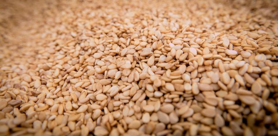 Semillas de Sesamo Caramelizado