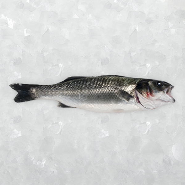 Lubinas de 400-600 gr