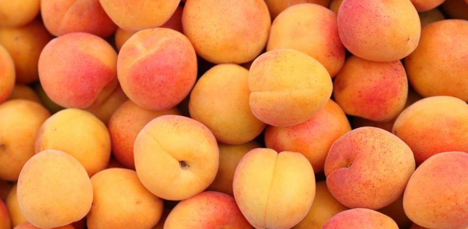 Albaricoque Liofilizado