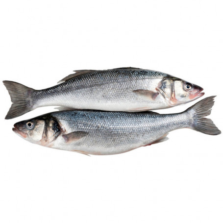 Lubinas de 600-800 gr