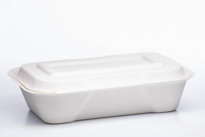 Bandejas Biodegradable Doble mediana