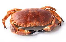 Buey de Mar pieza de 500 gr