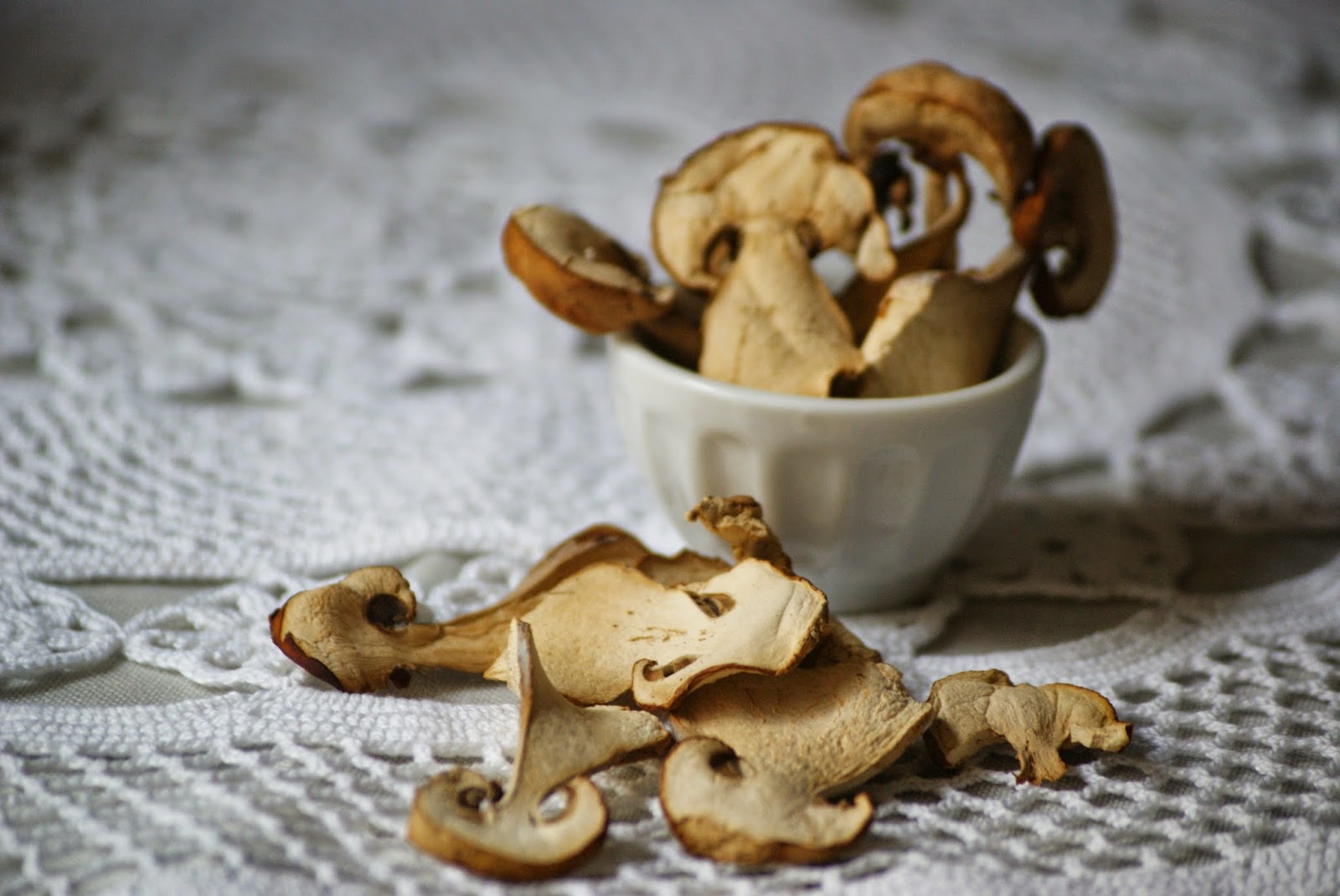 Boletus Deshidratados