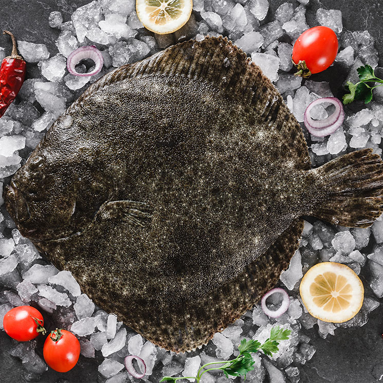 Rodaballo 600 - 800 gr